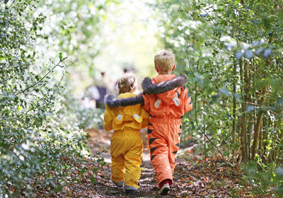 The Search of The Perfect Climbing Tree