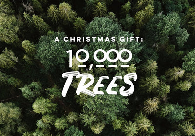 10,000 Trees