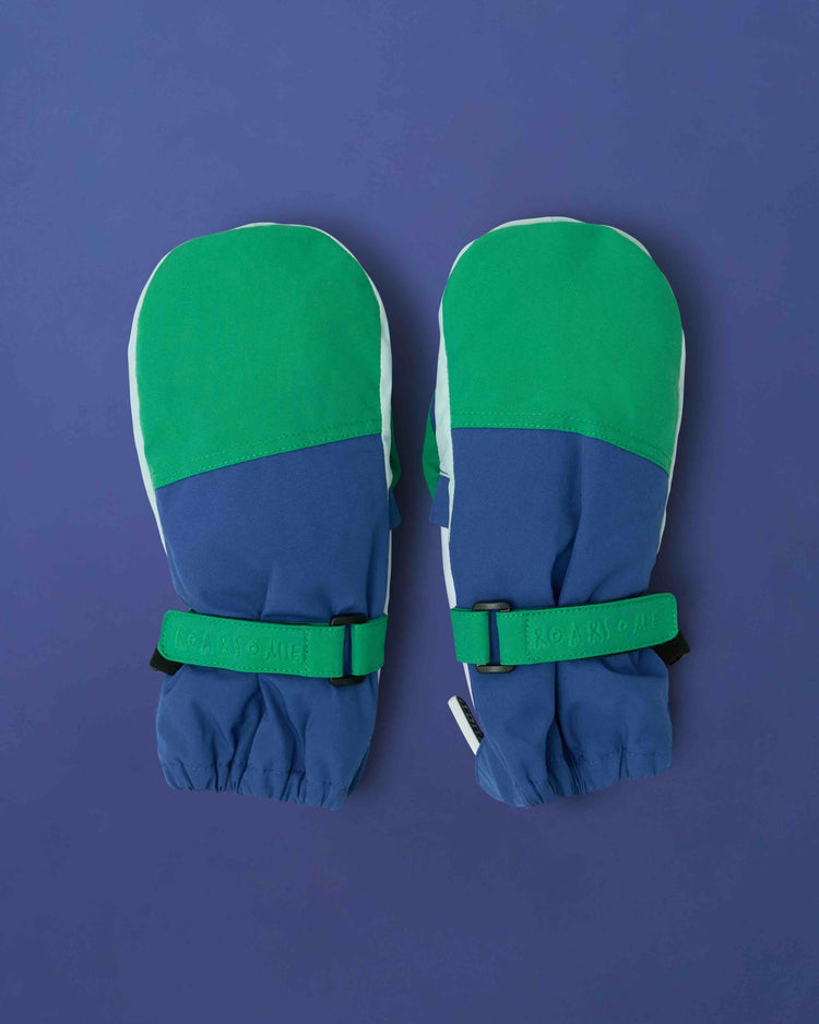 Kids Ski Gloves - Blue/Green
