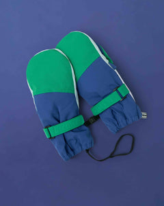 Kids Ski Gloves - Blue/Green