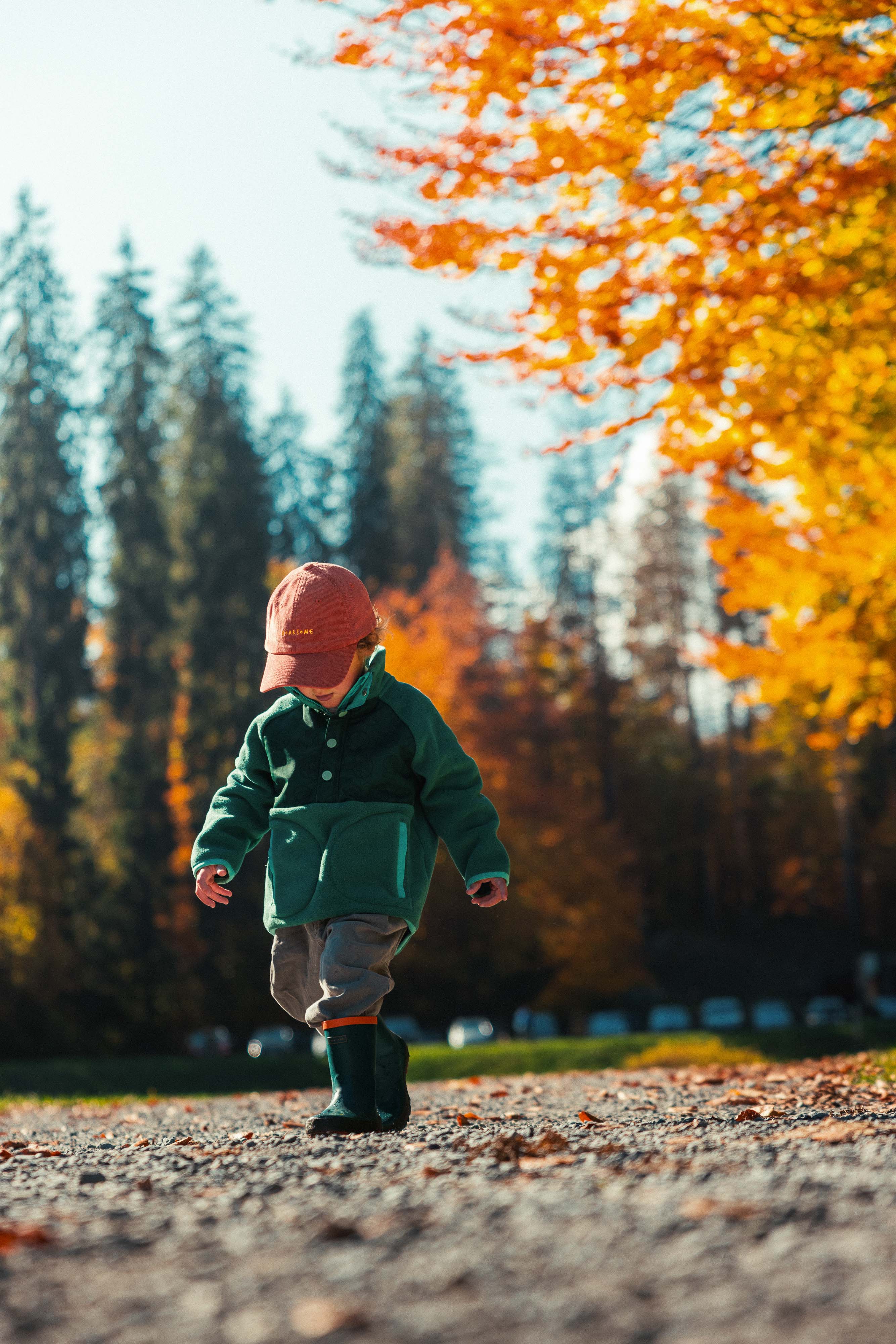 Spike the Dinosaur - Fleece