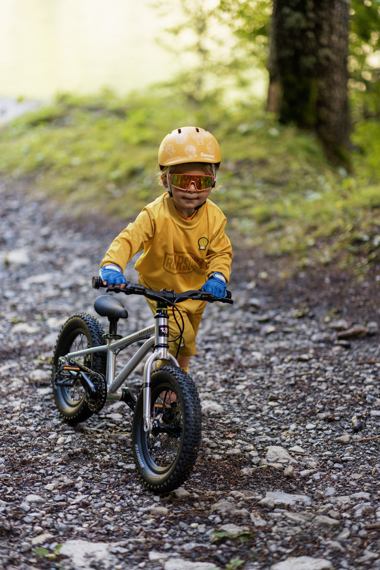 Cub the Lion - Riders Helmet