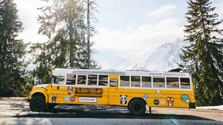Original American School Bus