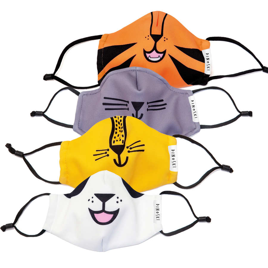 Face Masks - Party Pack (4)